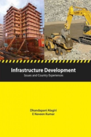 Kniha Infrastructure Development Dhandapani Alagiri