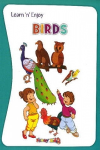 Kniha Birds Discovery Kidz