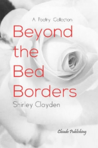 Kniha Beyond the Bed Borders Shirley Clayden