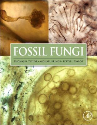Carte Fossil Fungi Thomas N. Taylor