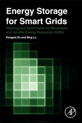 Carte Energy Storage for Smart Grids Pengwei Du