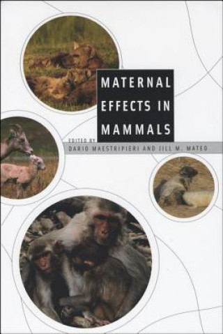 Book Maternal Effects in Mammals Dario Maestripieri