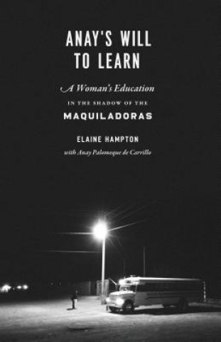 Könyv Anay's Will to Learn Elaine M Hampton