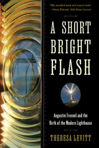 Kniha Short Bright Flash Theresa Levitt