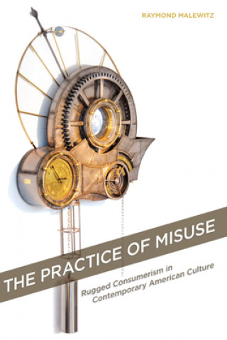 Könyv Practice of Misuse Raymond Malewitz