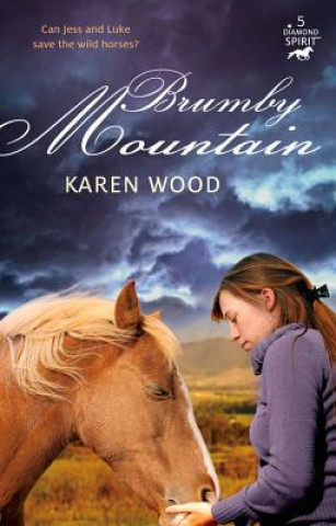 Könyv Brumby Mountain (Diamond Spirit 5) Karen Wood