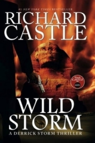 Kniha Wild Storm Richard Castle