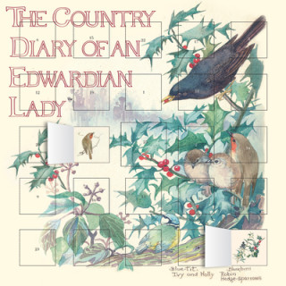 Kalendár/Diár Country Diary of an Edwardian Lady advent calendar 
