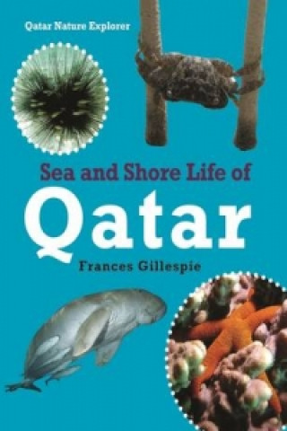 Knjiga Sea and Shore Life of Qatar Frances Gillespie