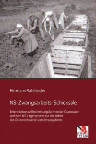 Kniha NS-Zwangsarbeits-Schicksale Hermann Rafetseder