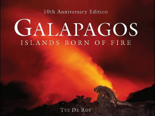 Könyv Galapagos Tui De Roy