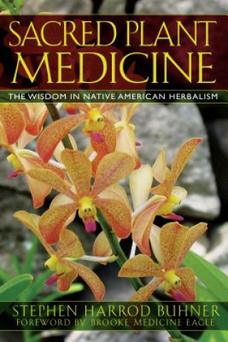 Kniha Sacred Plant Medicine Stephen Harrod Buhner