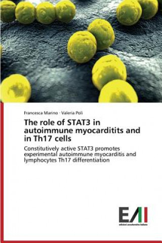 Kniha role of STAT3 in autoimmune myocarditits and in Th17 cells Francesca Marino