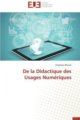 Carte de la Didactique Des Usages Num riques Stéphane Brunel