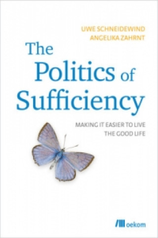 Könyv Politics of Sufficiency Uwe Schneidewind