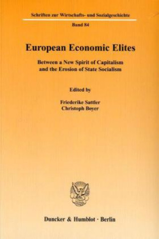 Livre European Economic Elites Friederike Sattler