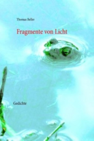 Book Fragmente von Licht Thomas Beller