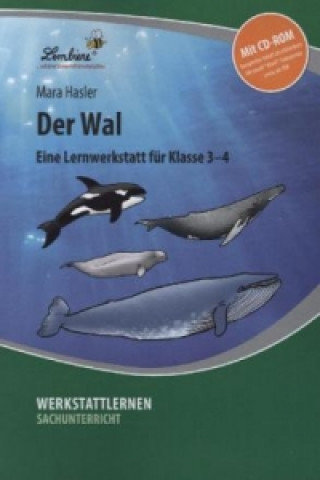 Книга Der Wal, m. CD-ROM Mara Hasler