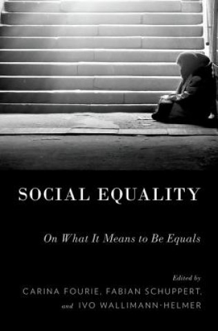 Książka Social Equality Carina Fourie