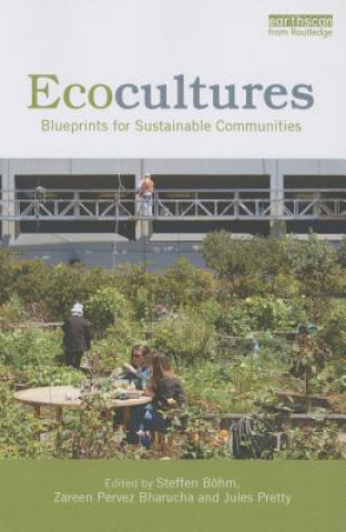 Książka Ecocultures Steffen Böhm