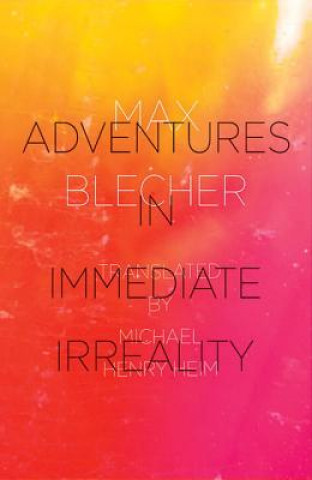 Kniha Adventures In Immediate Irreality Max Blecher