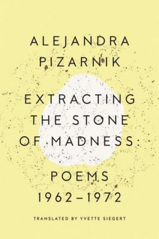 Kniha Extracting the Stone of Madness Alejandra Pizarnik