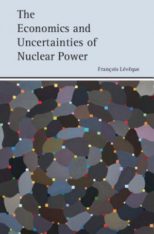 Książka Economics and Uncertainties of Nuclear Power Fran?ois L?v?que