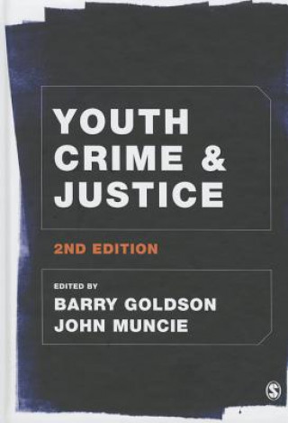 Kniha Youth Crime and Justice Barry Goldson