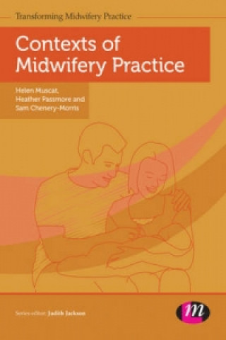 Книга Contexts of Midwifery Practice Helen Muscat