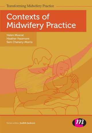 Könyv Contexts of Midwifery Practice Helen Muscat