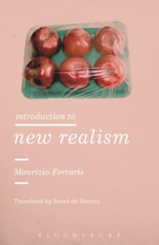 Kniha Introduction to New Realism Maurizio Ferraris