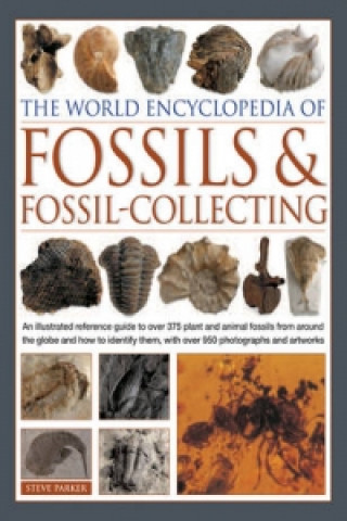 Carte World Encyclopedia of Fossils & Fossil-collecting Steve Parker