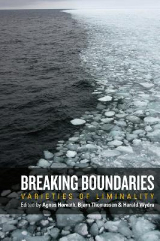 Kniha Breaking Boundaries Agnes Horvath