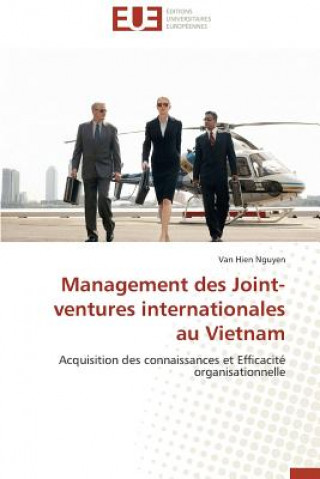 Könyv Management Des Joint-Ventures Internationales Au Vietnam Van Hien Nguyen