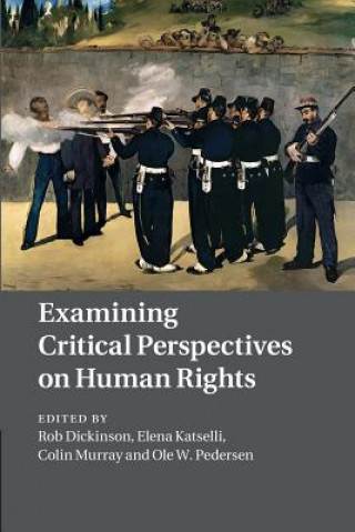 Kniha Examining Critical Perspectives on Human Rights Rob Dickinson