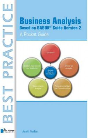 Knjiga Business Analysis Based on BABOK Guide Version 2 Jarett Hailes