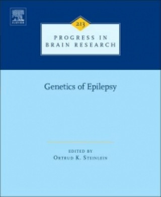 Könyv Genetics of Epilepsy Ortrud K. Steinlein