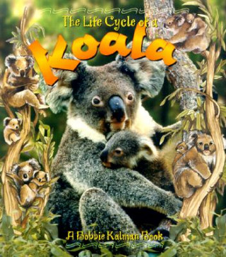 Könyv Life Cycle of a Koala Heather Levigne