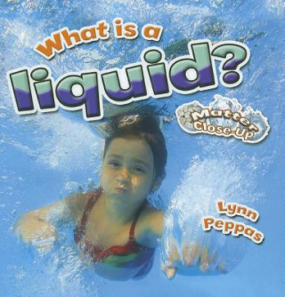 Kniha What is a liquid? Lynn Peppas