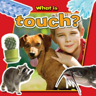 Carte What is Touch? Molly Aloian