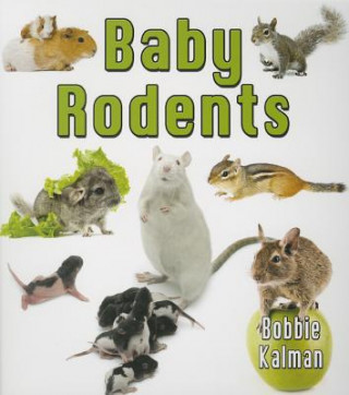 Book Baby Rodents Bobbie Kalman