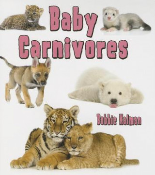 Książka Baby Carnivores Bobbie Kalman
