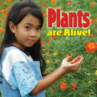 Könyv Plants Are Alive Molly Aloian