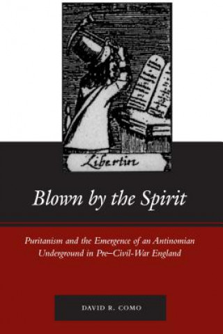 Könyv Blown by the Spirit David Como