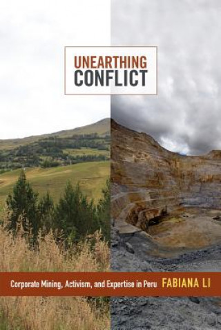 Buch Unearthing Conflict Fabiana Li