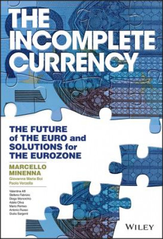 Buch Incomplete Currency - The Future of the Euro and Solutions for the Eurozone M Minenna