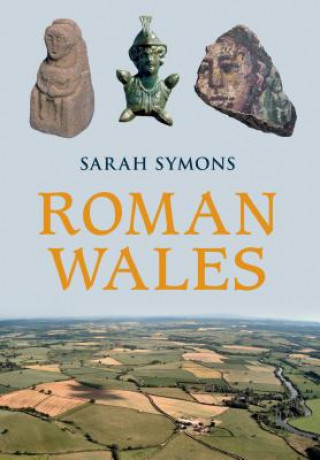 Buch Roman Wales Sarah Symons