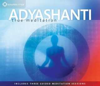 Audio True Meditation Adyashanti