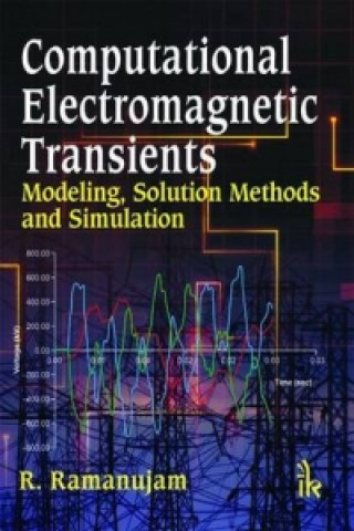 Könyv Computational Electromagnetic Transients R. Ramanujam