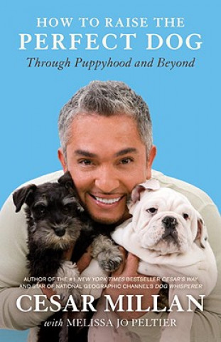 Könyv How to Raise the Perfect Dog Cesar Millan